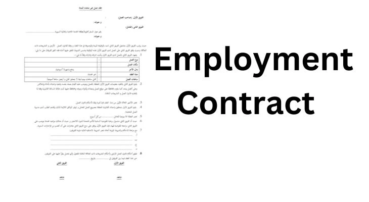 Employment Contract